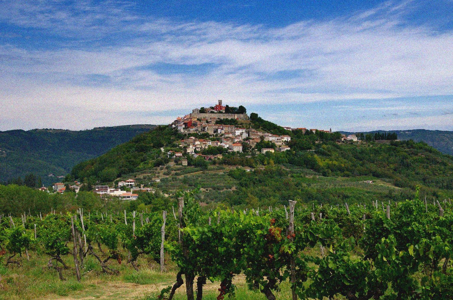 Croatian Wine