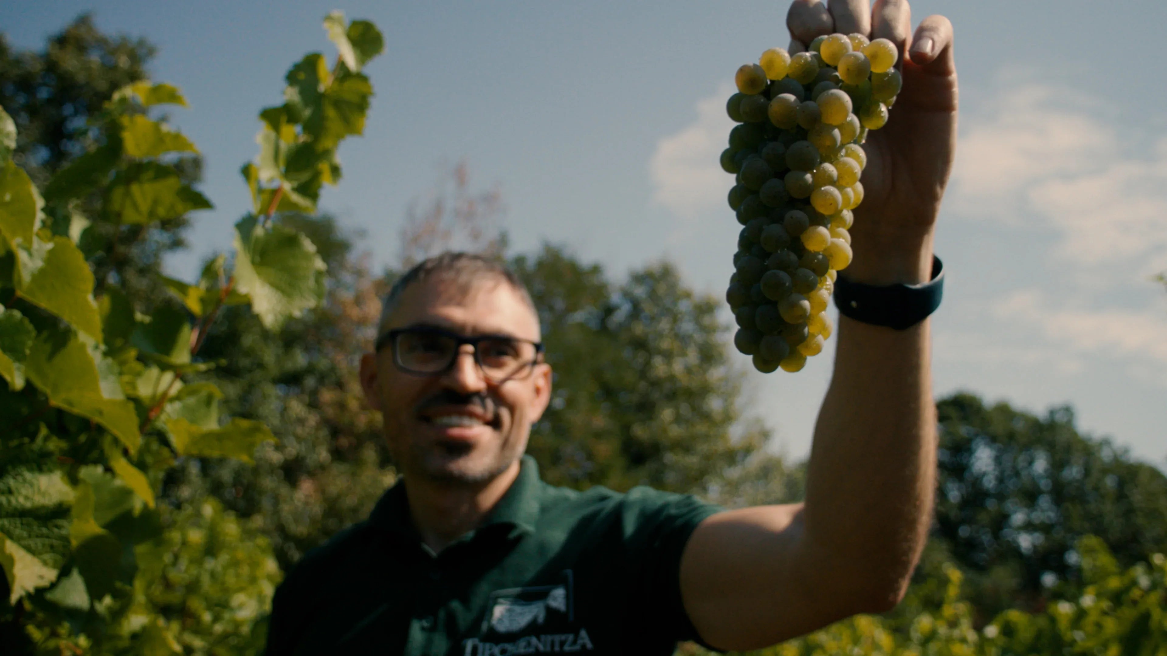 'Oak Barrel' Bulgarian Red Blend by Tipchenitza Winery