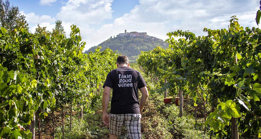 Croatian Malvasia by Fakin Winery